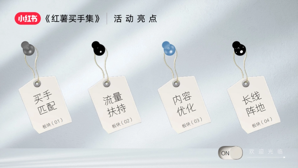 小红书内循环IP《红薯买手集》招商通案_第9页