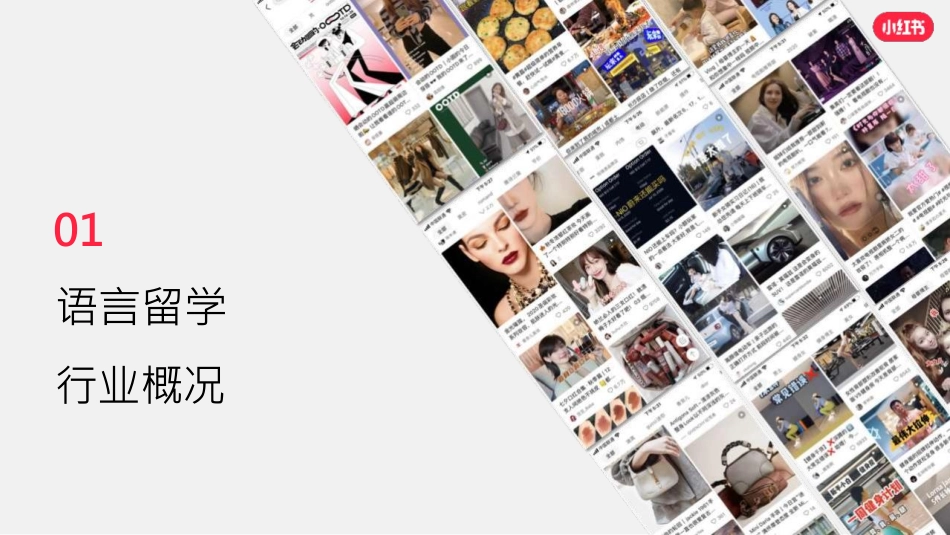 小红书语言及留学行业营销通案_第3页