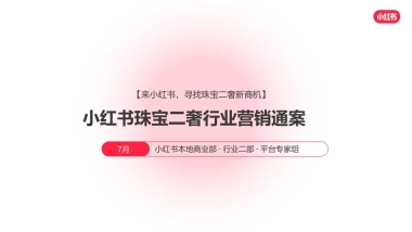 小红书珠宝二奢行业营销通案
