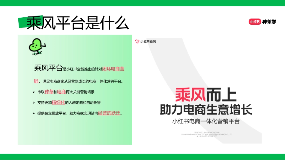 小红书主理人店:乘风一课通【通案】_第5页