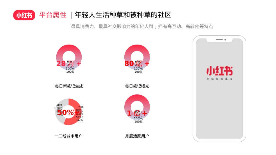 珠宝玉石小红书运营方案_第3页