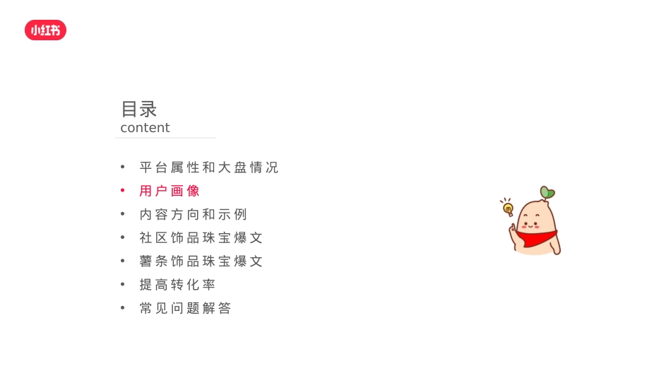 珠宝玉石小红书运营方案_第5页