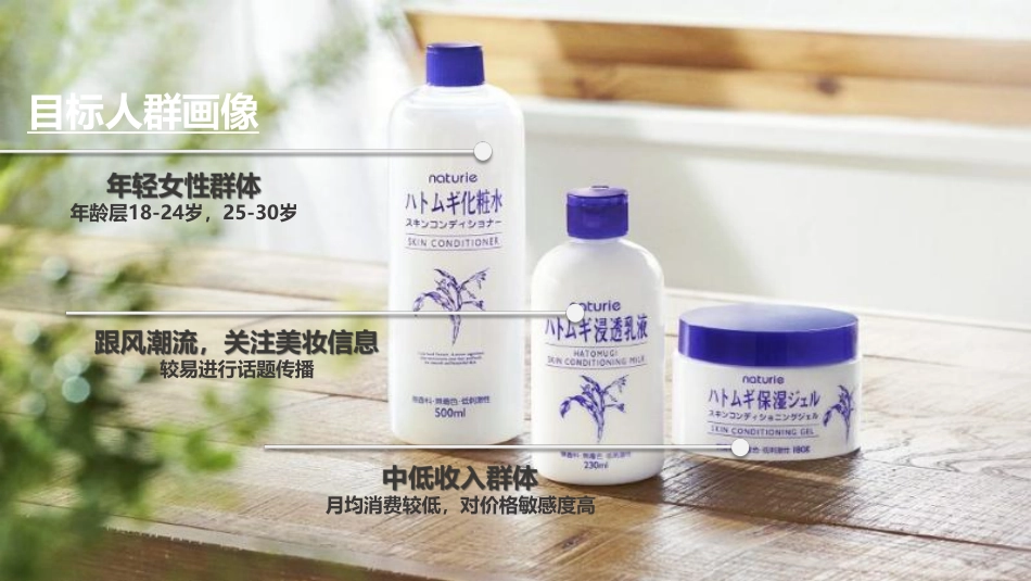 薏仁水&啫喱生态建立规划_第5页