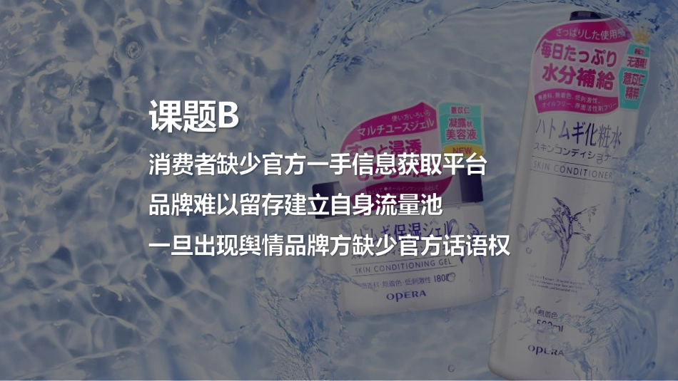 薏仁水&啫喱生态建立规划_第7页