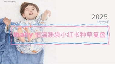 婴儿恒温睡袋小红书种草复盘结案报告规划