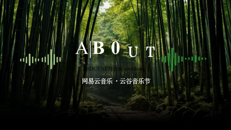 《网易云音乐·云谷音乐节》招商通案2024_第2页