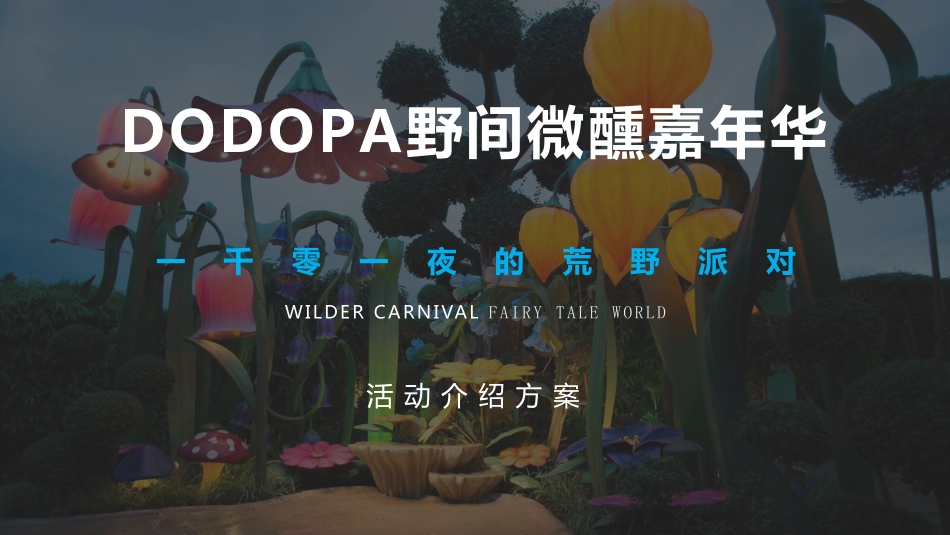 2022DODOPA野间微醺嘉年华一千零一夜的荒野派对活动招商_第2页