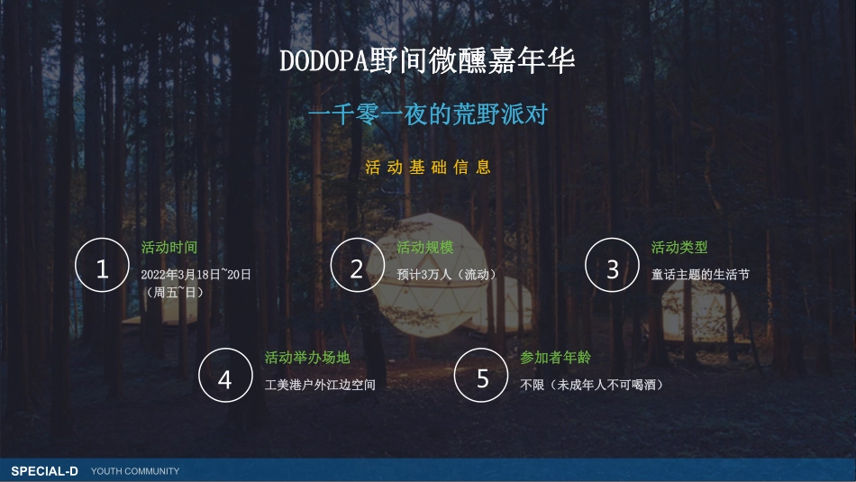 2022DODOPA野间微醺嘉年华一千零一夜的荒野派对活动招商_第4页
