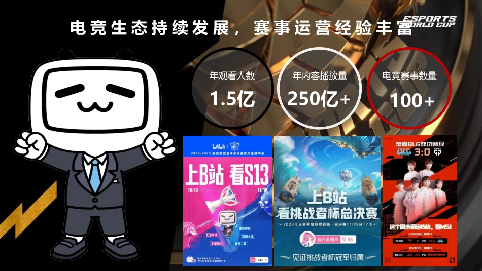 2024bilibili 沙特电竞世界杯招商合作方案_第3页