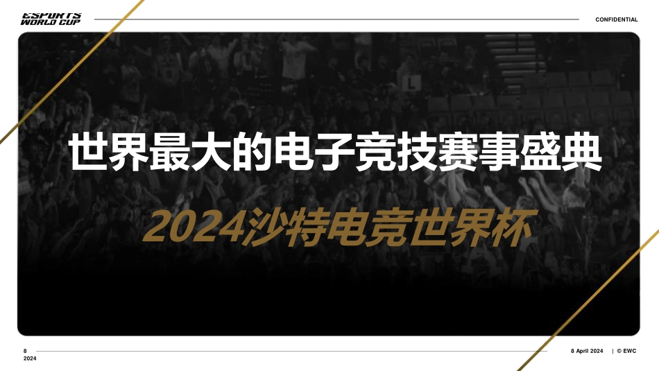 2024bilibili 沙特电竞世界杯招商合作方案_第4页