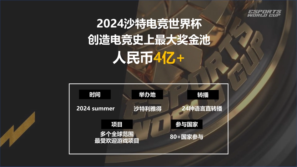 2024bilibili 沙特电竞世界杯招商合作方案_第6页