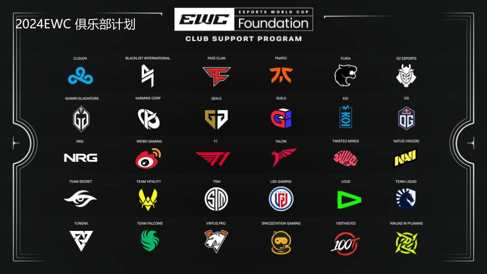 2024bilibili 沙特电竞世界杯招商合作方案_第9页