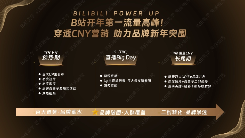 2024百大UP主盛典招商通案_第10页