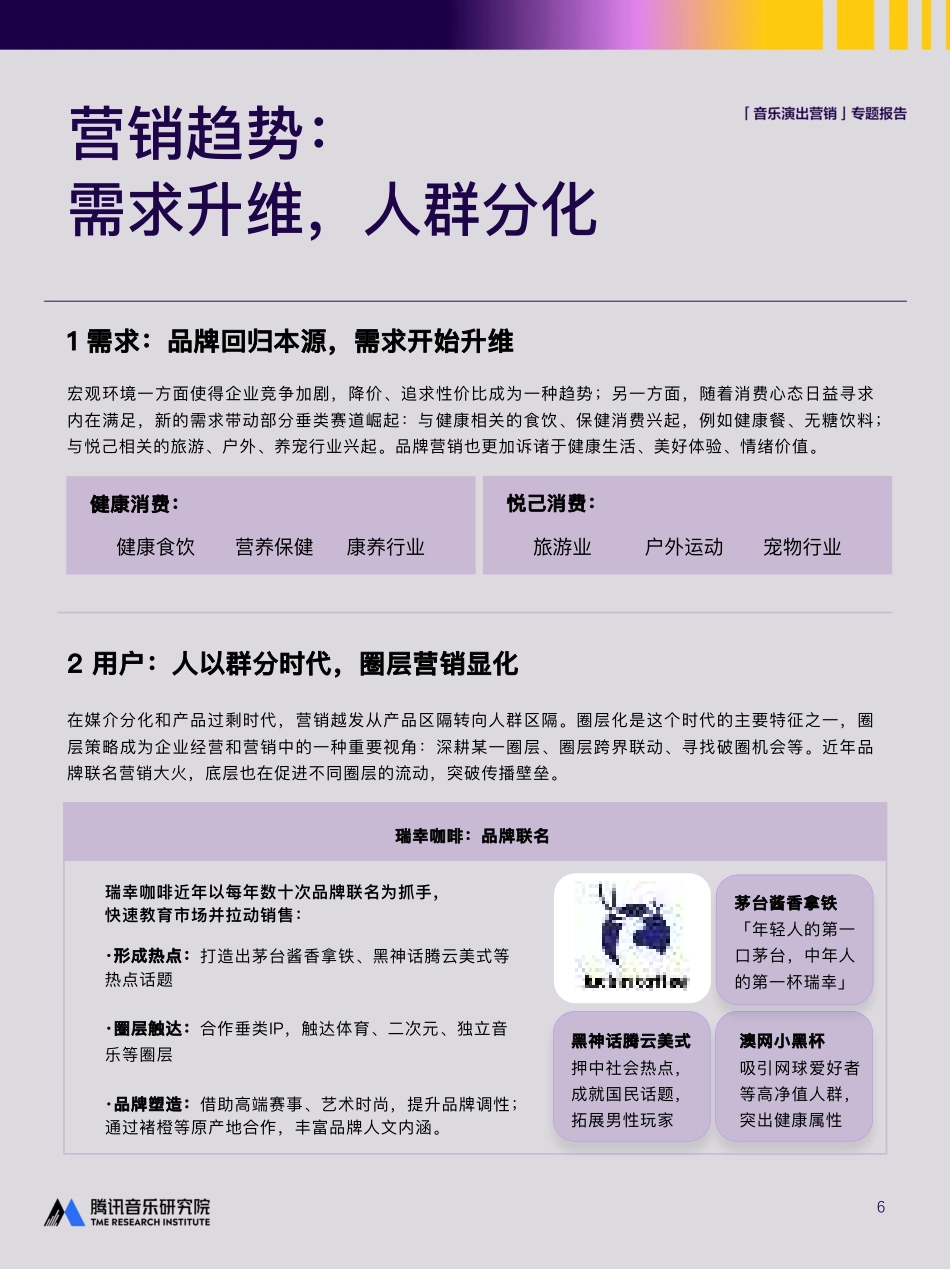 2025年音乐演出营销专题报告_第6页