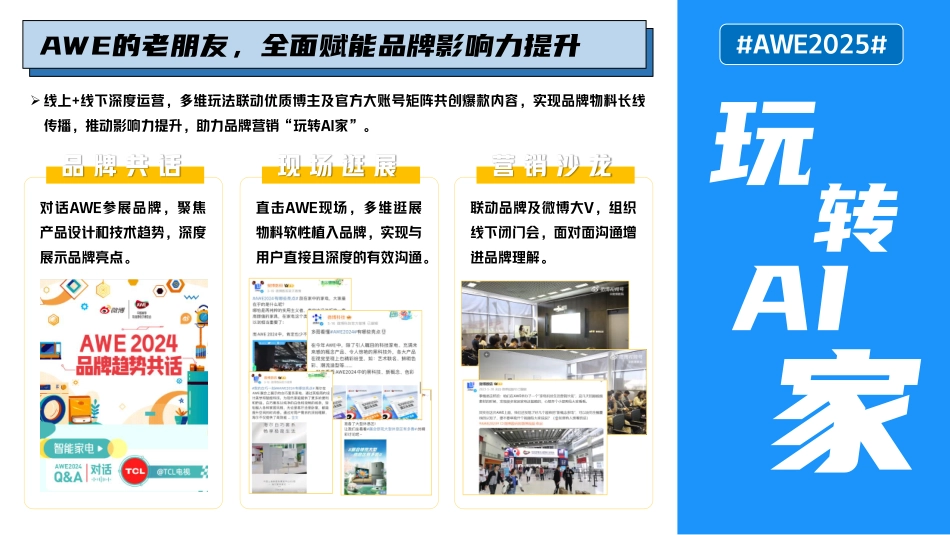 AWE招商方案_第5页