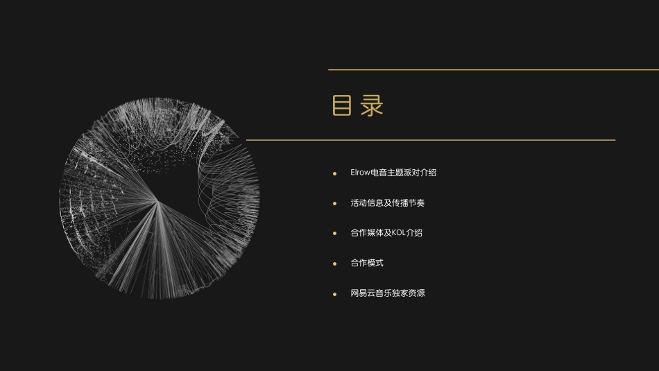 elrow电音主题派对招商方案_第2页