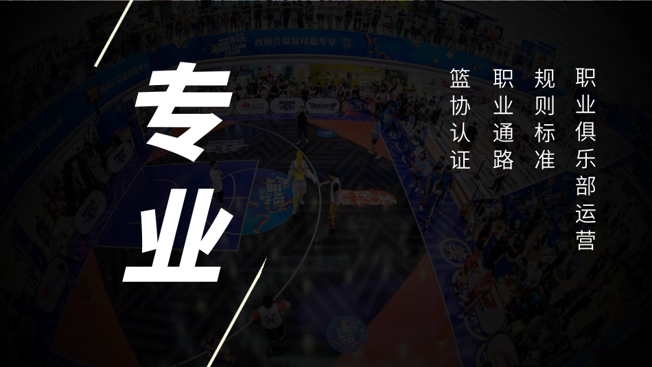 V13较劲3v3商务合作方案opt_第2页