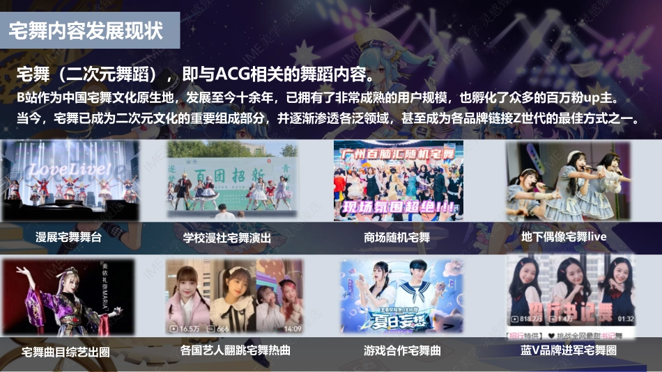 哔哩哔哩宅舞嘉年华BDF2025 招商招商方案_第3页