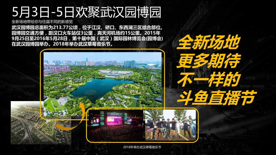 斗鱼国际直播节（嘉年华）招商方案-50p_第8页