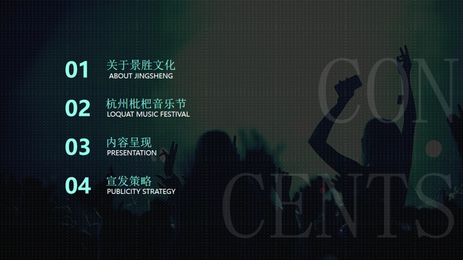 枇杷音乐节 招商方案_第5页