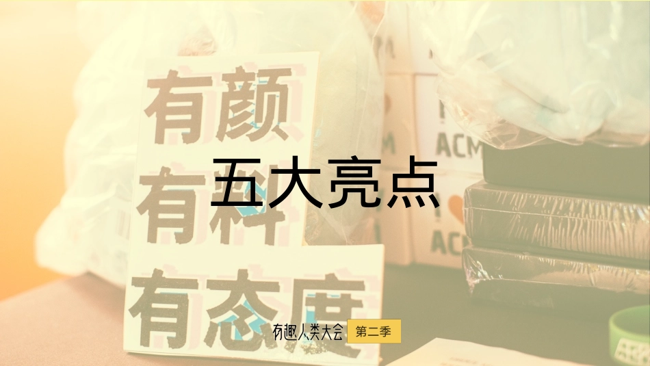 有趣人类大会招商方案【北辰青年】_第10页