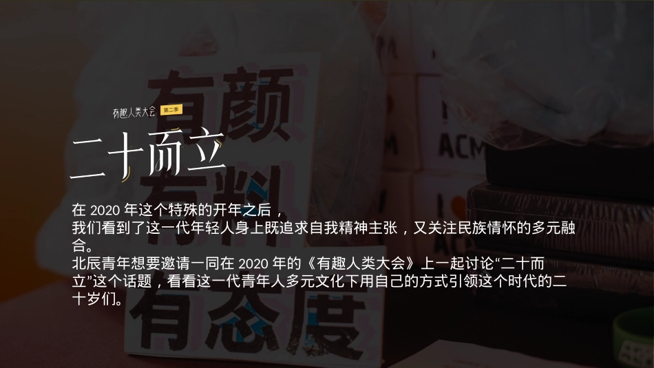 有趣人类大会招商方案【北辰青年】_第8页