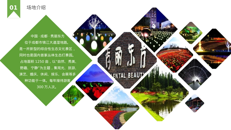 中国(成都)房车文化节暨房车旅游文化展览会招商案_第5页