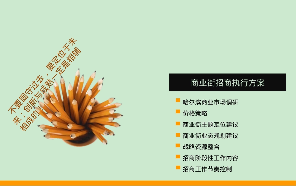 银泰城商业街招商运营及物业管理方案_第7页