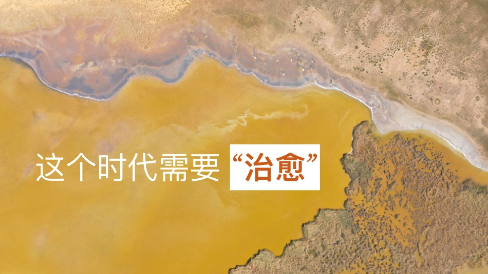 沙漠邮局 101颗孤独行星 快闪合作方案_第2页