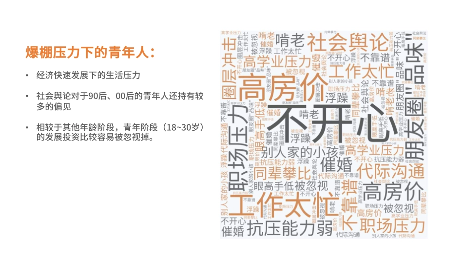 有趣人类星球-全国青年社群组织大会招商策划方案_第4页