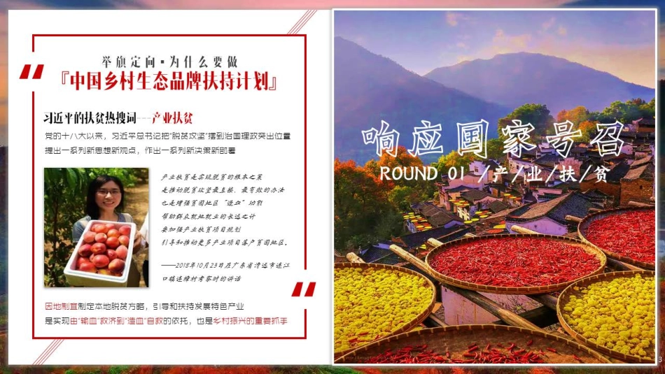 中国乡村生态品牌扶持计划 江西上饶项目框架_第3页