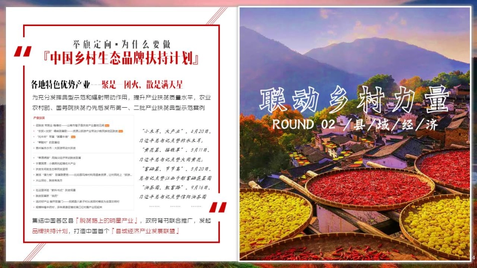 中国乡村生态品牌扶持计划 江西上饶项目框架_第4页