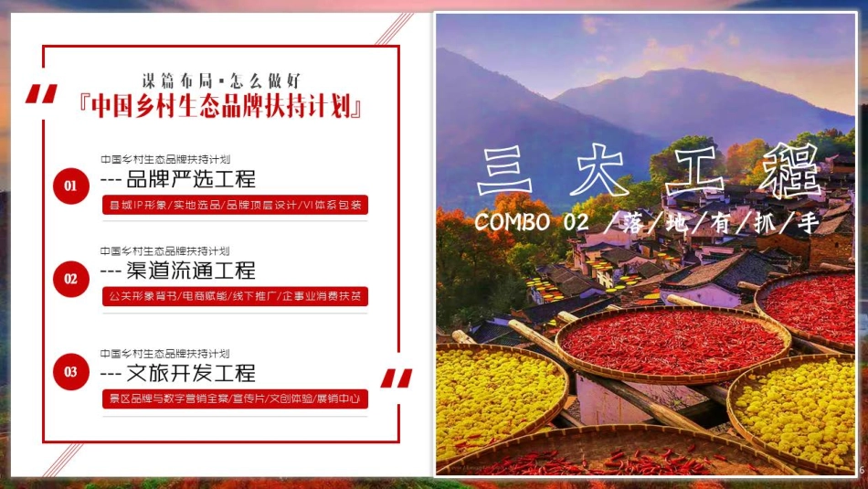 中国乡村生态品牌扶持计划 江西上饶项目框架_第6页