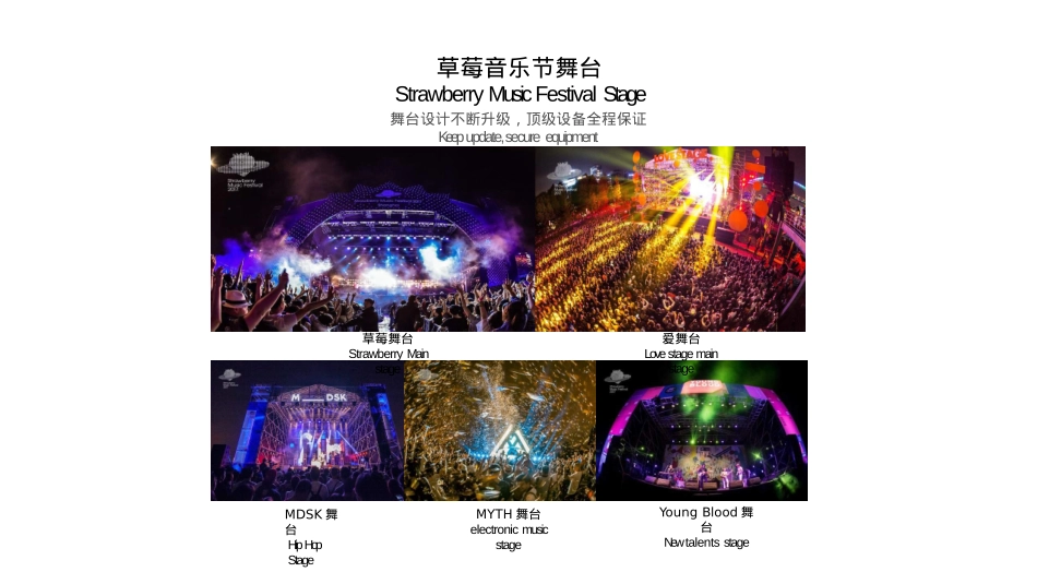 2019草莓音乐节合作方案_第10页