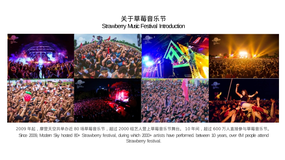 2019草莓音乐节合作方案_第5页