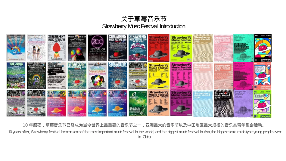 2019草莓音乐节合作方案_第6页