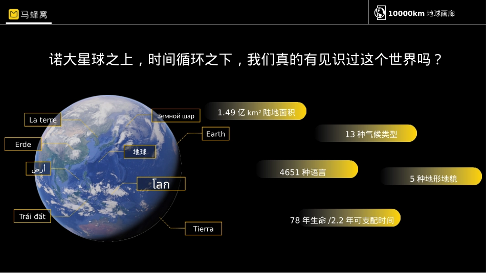 马蜂窝1000km地球画廊招商方案_第2页