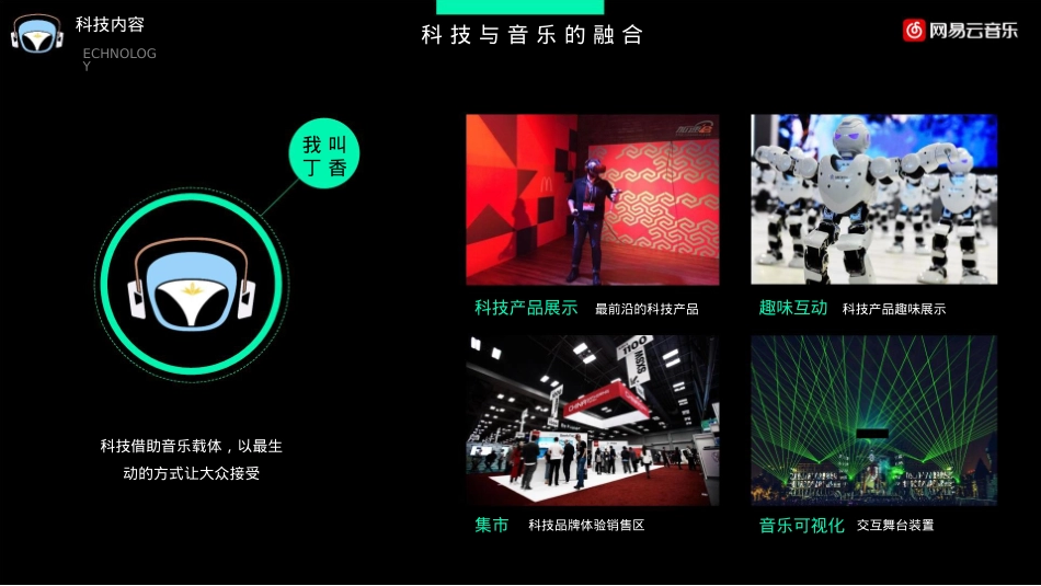 泰山天颐湖旅游度丁香音乐节招商方案-31页_第5页