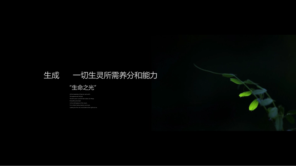 中秋节通版策划案_第6页