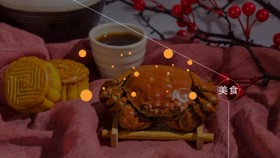 2019华润深圳布吉万象汇(商业)中秋推广设计提报方案_第8页