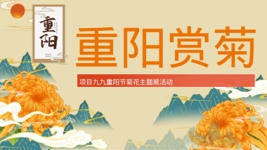 2023地产项目九九重阳节（重阳赏菊主题）活动策划方案-45P