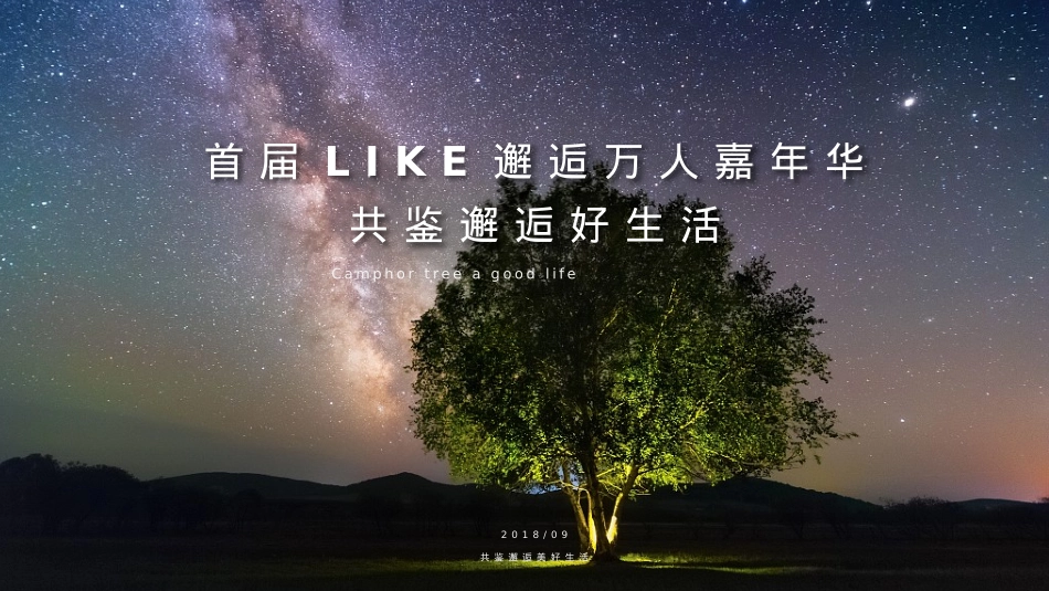 2018中秋国庆万国美食网红集市草坪音乐节首届LIKE邂逅万人嘉年华活动方案-82P_第5页