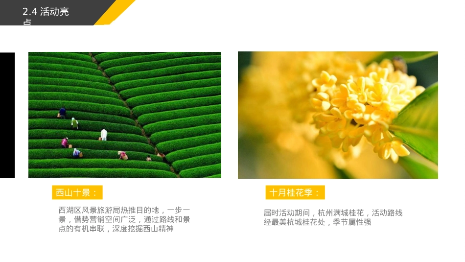 2018杭州西山国际登山节活动策划案-36P_第10页