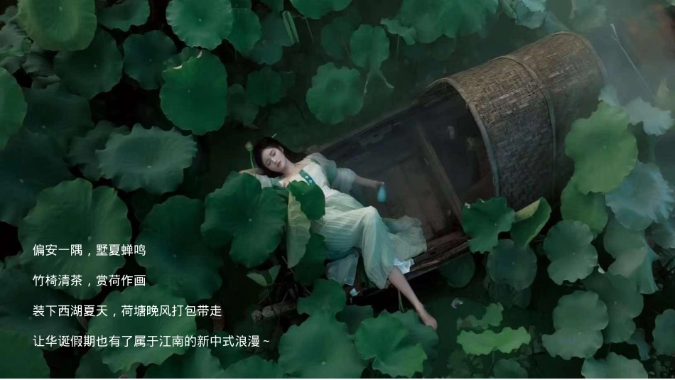 2024文旅项目国庆系列（都市里的荷花坞主题）活动策划方案-33P_第3页