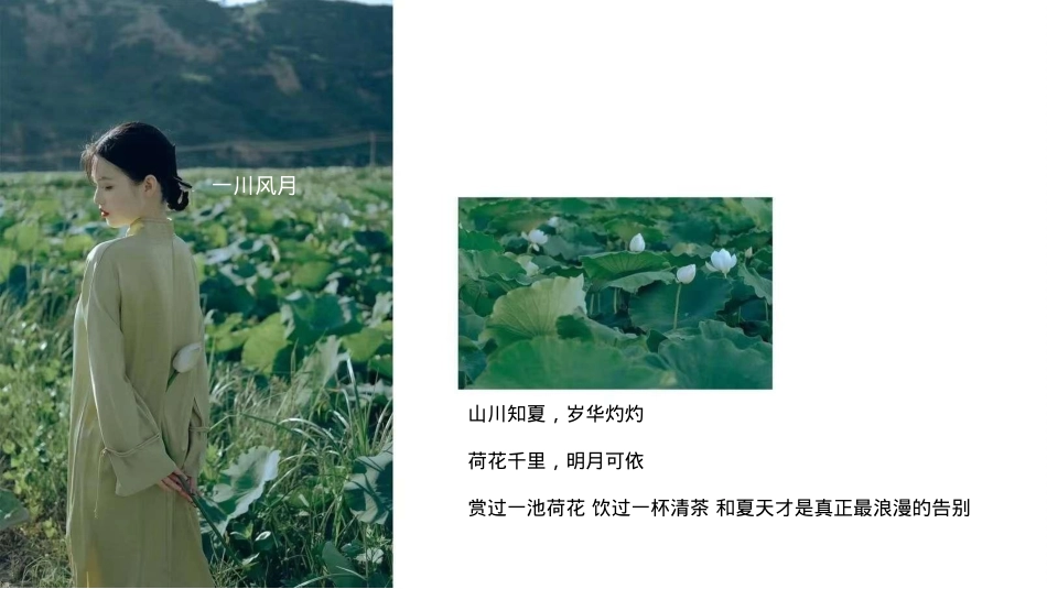 2024文旅项目国庆系列（都市里的荷花坞主题）活动策划方案-33P_第5页