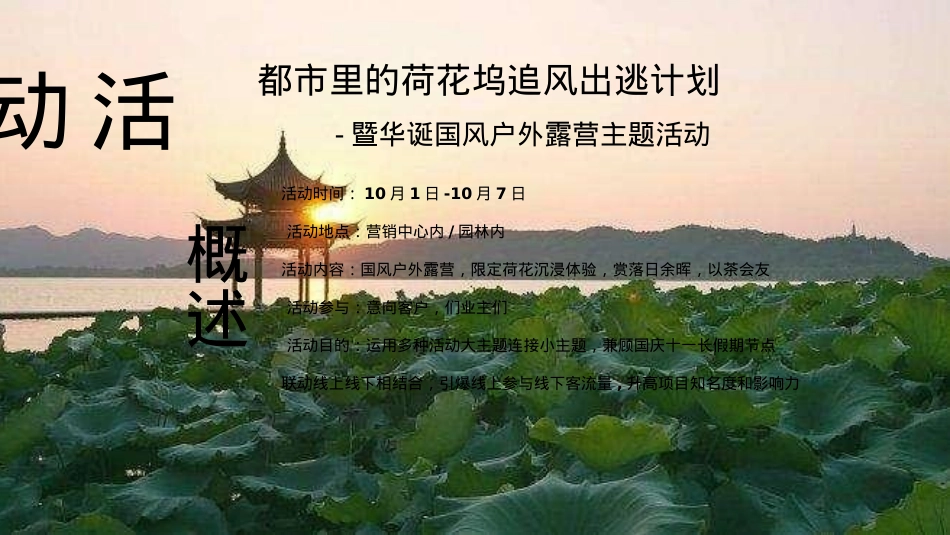 2024文旅项目国庆系列（都市里的荷花坞主题）活动策划方案-33P_第7页