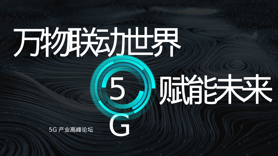 5G-高峰论坛活动策划方案_第4页