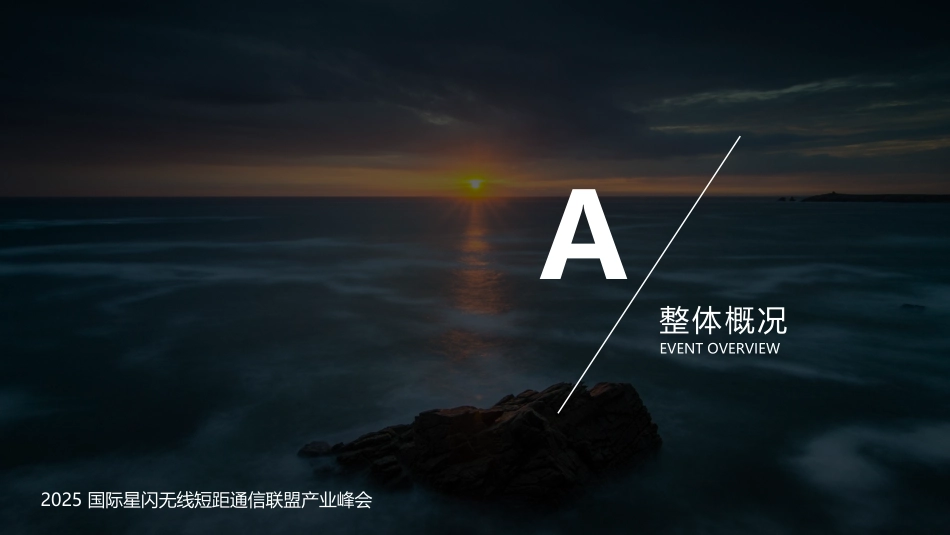 2025 联盟产业峰会会场搭建及会议整体服务方案_第3页