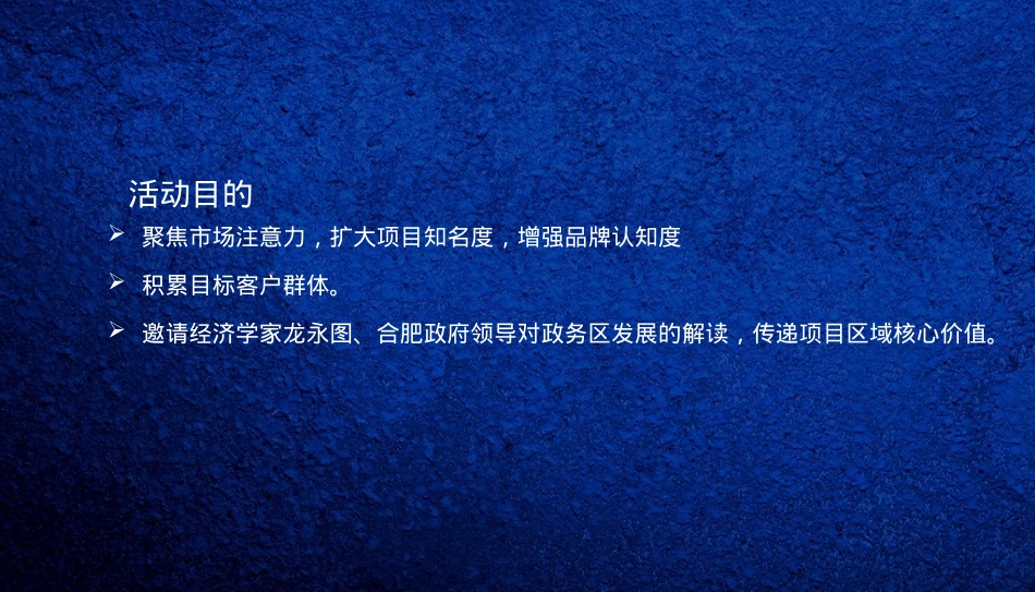 华邦ICC政务新区高峰论坛策划案_第4页