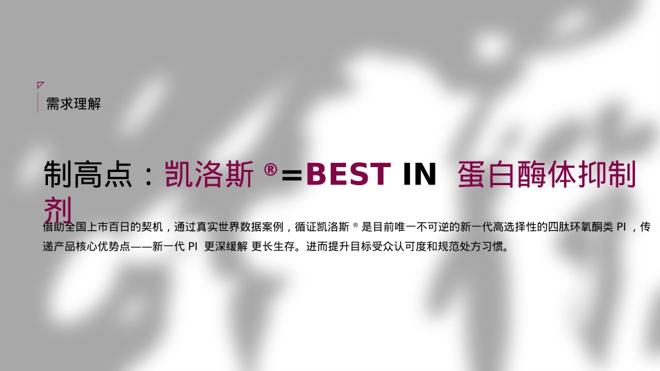 全国百日庆典活动方案_第2页